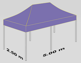 2500x5000mm tent